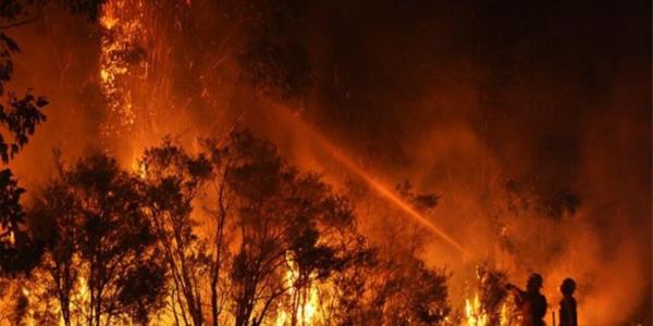 Bomberos en Australia en las labores de extinción del fuego. Foto de Europa Press