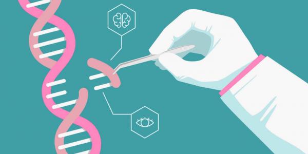 Esquema metafórico de la edición genética CRISPR