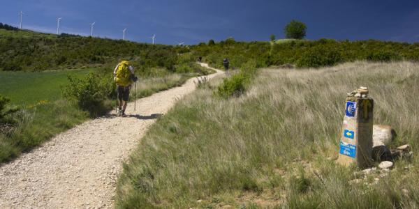 Camino de Santiago / Getty images