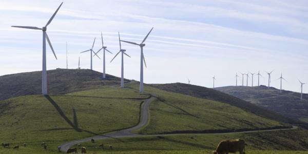Capital Energy avanza con los trámites para construir su primer parque eólico en Galicia