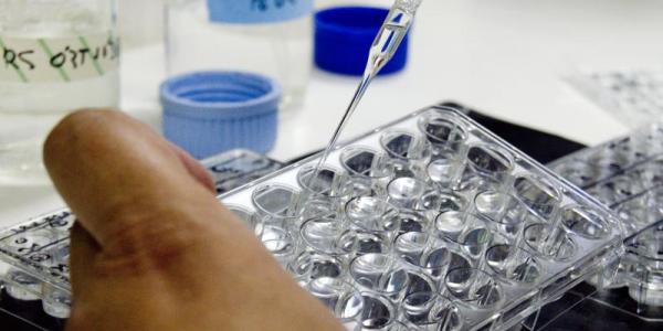 España, preparada ante una hipotética llegada del coronavirus de China