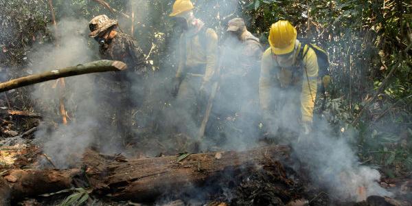 Incendios Amazonia