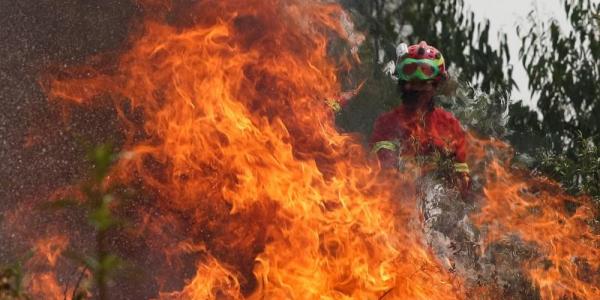 Incendios Portugal