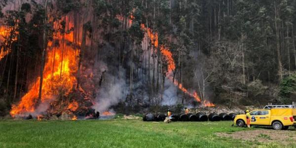 Incendios norte