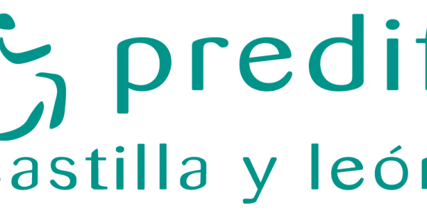 La Plataforma Representativa Estatal de Personas con Discapacidad Física (Predif).