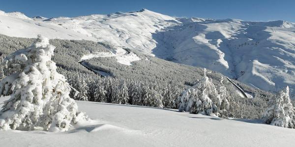 Sierra Nevada