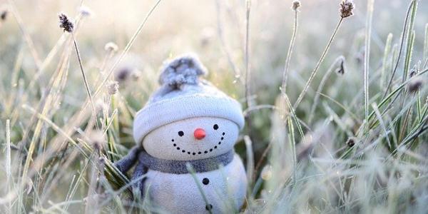 Un muñeco de nieve, entre un tiempo frío con heladas
