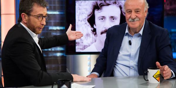 Vicente del Bosque Hormiguero