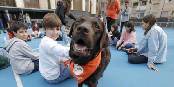 Terapia con perros para combatir el acoso escolar