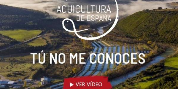 Acuicultura España