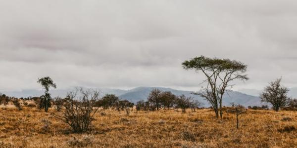África