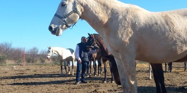 Caballo, agricultura ecológica