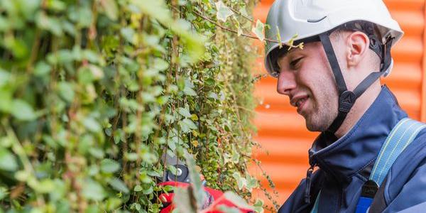 Un alumno de formación en agricultura ecológica