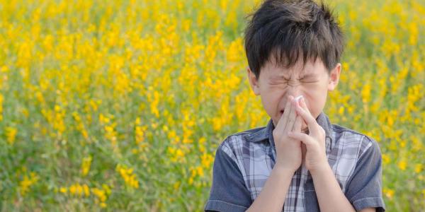 Niño con alergia al polen / Pixabay