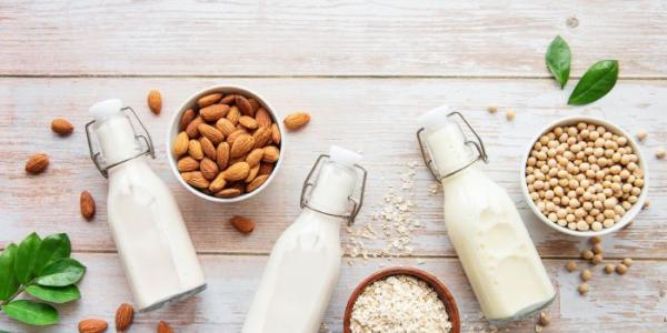 Leche vegetal