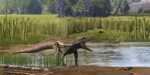 Recreación del aspecto en vida de un arcosaurio y del paleoambiente del Triásico