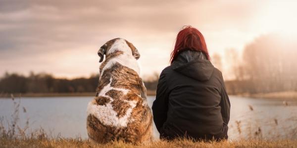 Perro con su amo