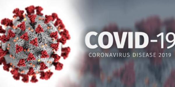 A la izquierda se ve un coronavirus y a la derecha en letra pone: Covid-19