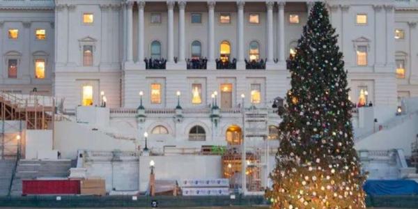 Una multitud se reúne para ver el encendido del Árbol Nacional de Navidad en el jardín oeste del Capitolio. 