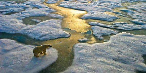 El Ártico se hunde por el cambio climático