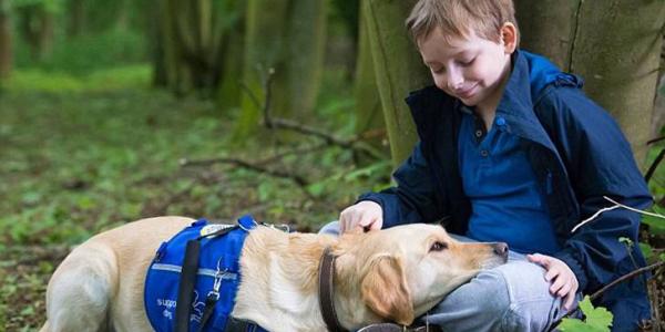 Niño con autismo acompañado de un perro / Pixabay