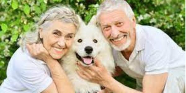 Los perros y gatos benefician a los adultos mayores