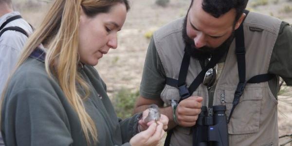 Festival de Observación de Aves & Actividades de Naturaleza, anillamiento en el Birdwatching