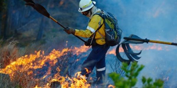 Precariedad laboral en los bomberos forestales