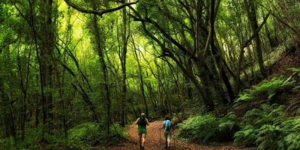 Bono turístico para La Palma y Galicia