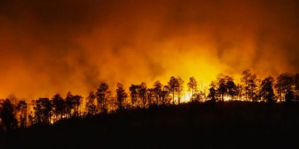 Los montes y bosques arden en España
