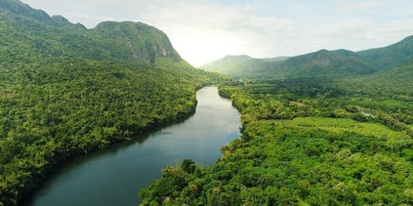 Día Internacional de los Bosques Tropicales