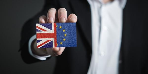 Mano sujetando bandera formada por el Reino Unido y la UE / Pixabay
