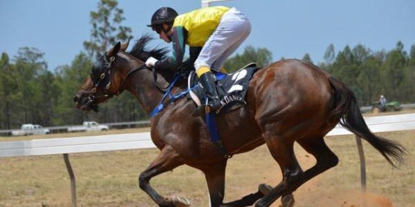 Carreras de caballos, cómo funcionan