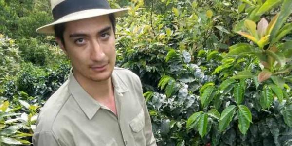 El investigador Federico Ceballos-Sierra, con plantas de café en su granja familiar en Colombia | Foto: Universidad de Illinois