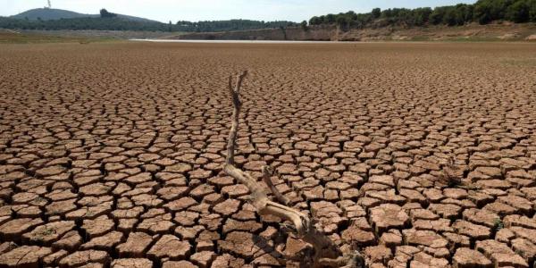 La desertificación es cada vez mayor en España