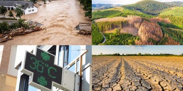 Efectos del cambio climático en Alemania