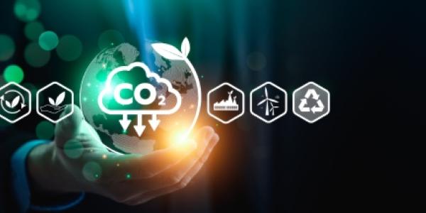 Infografía sobre la captura de carbono