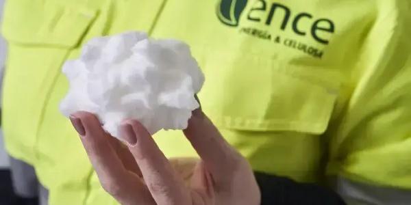 Así es la celulosa fluff sostenible con el planeta