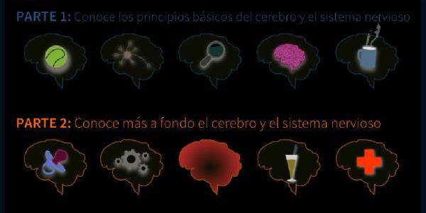 Mapa de la herramienta: Enamórate de tu cerebro. 