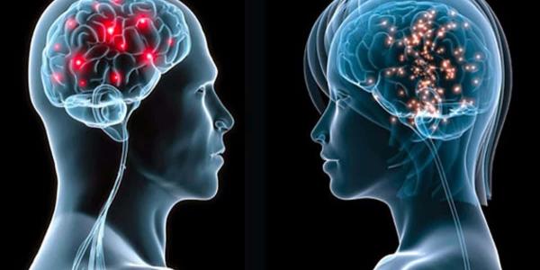 La IA estudia el cerebro de hombres y mujeres