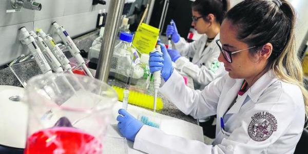Un grupo de científicas traba en un laboratorio en la Universidad de Sao Paulo.