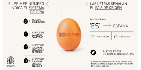 Los códigos de los huevos de gallina