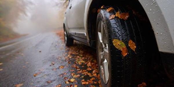 Coches y conducción en otoño