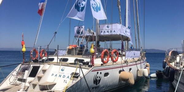 Velero Blue Panda, que se ha ido al Mar de Alborán