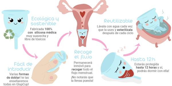 La copa menstrual cuenta con múltiples beneficios para la salud y el Medio Ambiente / GlupCup