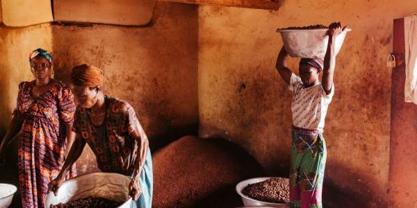 Mujeres recogiendo almendra de karité para cosmética natural