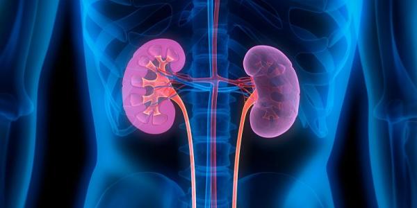 Insuficiencia renal y problemas de riñón