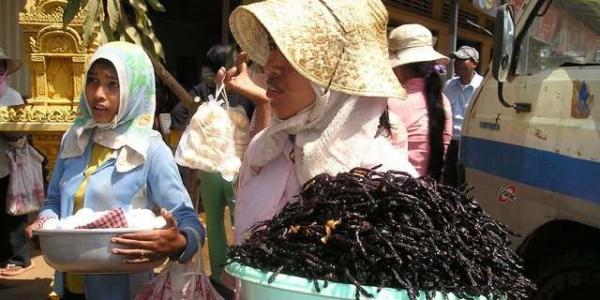 Dos chicas venden insectos para comer en Camboya