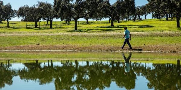 Cultivos agrícolas