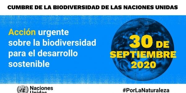 Hoy se celebra la Cumbre de la Biodiversidad de la ONU